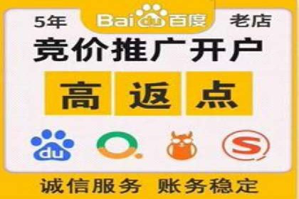 解析某某SEM服务公司如何通过数据分析优化广告效果